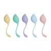Pelvic Stem Kegel Kit - Multicolor
